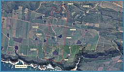 click to enlarge